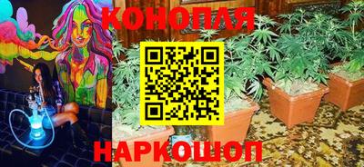 ПСИЛОЦИБИНОВЫЕ ГРИБЫ Малоярославец