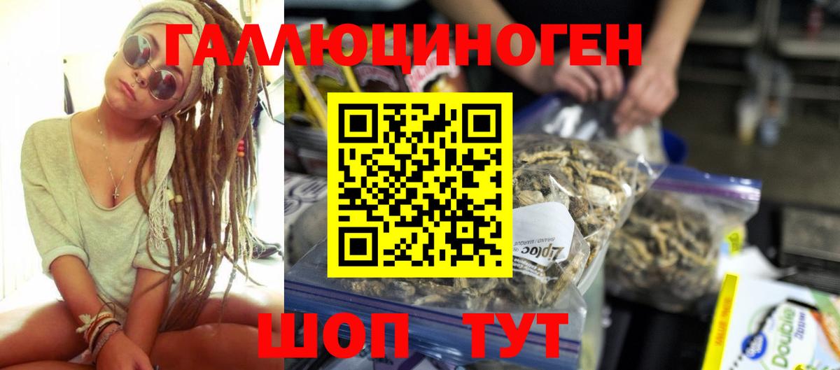 Псилоцибиновые грибы MAGIC MUSHROOMS Чернушка
