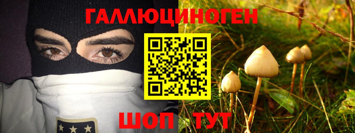 Псилоцибиновые грибы ЛСД  Вход с VPN  Галлюциногенные грибы Magic Shrooms  Чернушка 